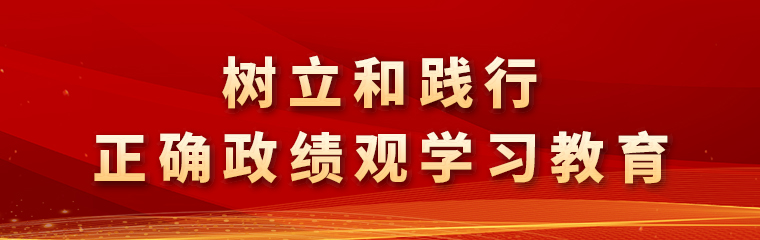 山东同泰管理咨询集团党总支开展 “学思想 重实践 汲取奋进力量” 迎“七一”党性教育活动